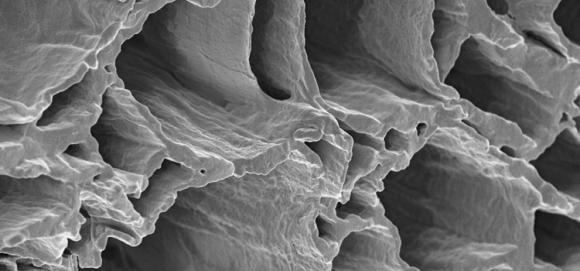 Investigadores Argentinos desarrollan un vendaje de rápida cicatrización