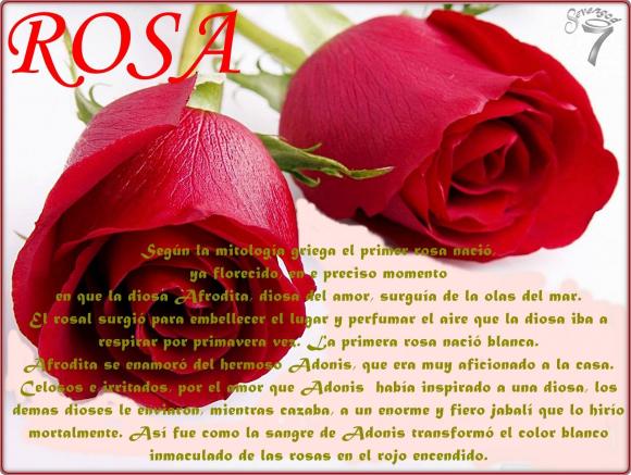 Abrimos de Miércoles a Domingo de 10:00 a 20:00 horas