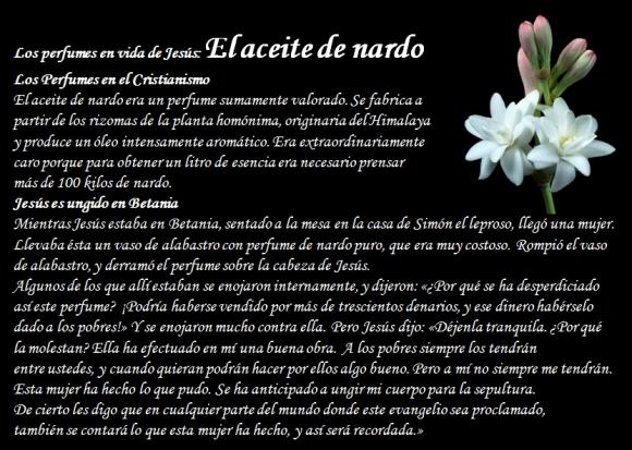 Abrimos de Miércoles a Domingo de 10:00 a 20:00 horas