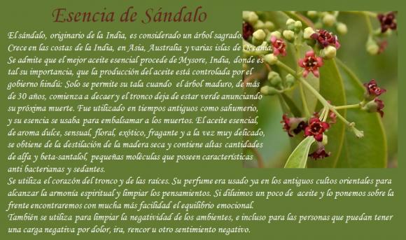 Abrimos de Miércoles a Domingo de 10:00 a 20:00 horas