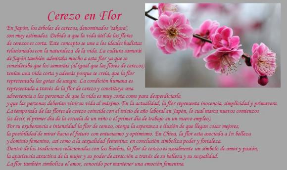 Abrimos de Miércoles a Domingo de 10:00 a 20:00 horas