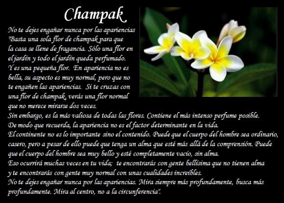 Abrimos de Miércoles a Domingo de 10:00 a 20:00 horas