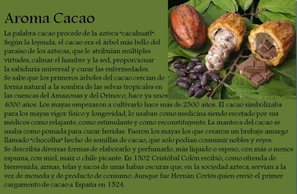 Abrimos de Miércoles a Domingo de 10:00 a 20:00 horas