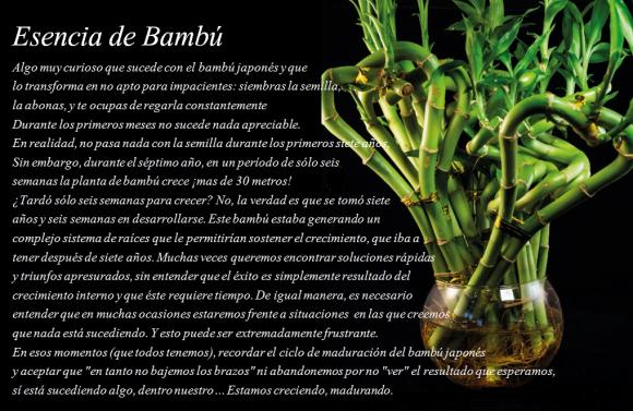 Abrimos de Miércoles a Domingo de 10:00 a 20:00 horas