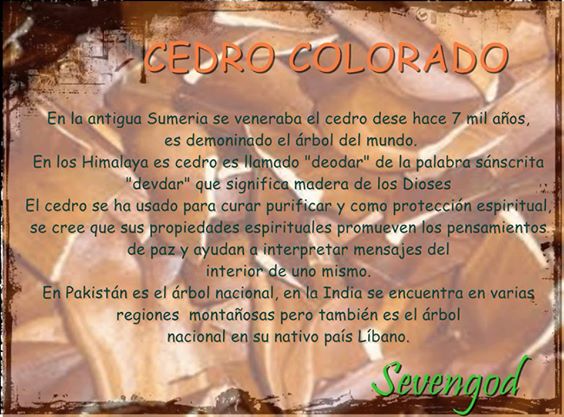 Abrimos de Miércoles a Domingo de 10:00 a 20:00 horas