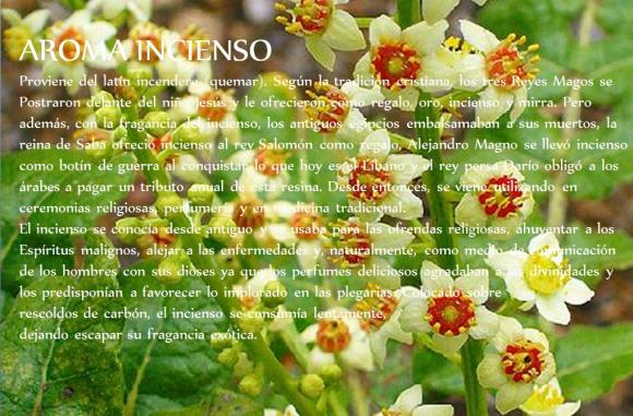 Abrimos de Miércoles a Domingo de 10:00 a 20:00 horas