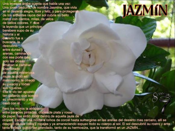 Abrimos de Miércoles a Domingo de 10:00 a 20:00 horas