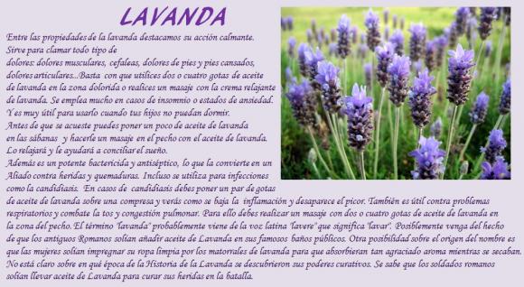 Abrimos de Miércoles a Domingo de 10:00 a 20:00 horas