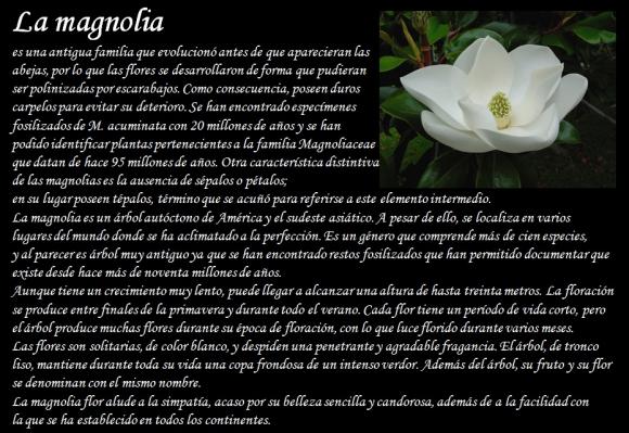 Abrimos de Miércoles a Domingo de 10:00 a 20:00 horas