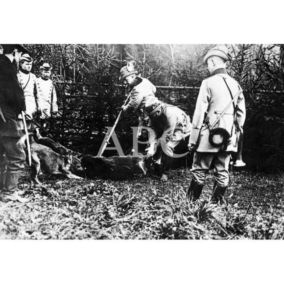 Diplomacia y cinegética