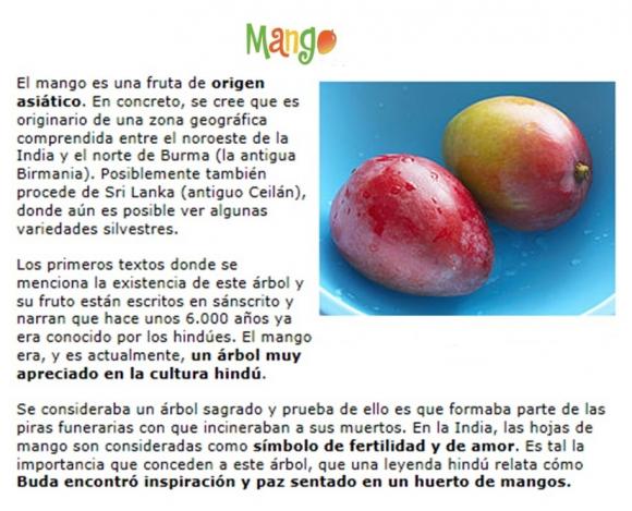 Abrimos de Miércoles a Domingo de 10:00 a 20:00 horas