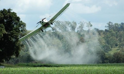 Declaran ´probables´ cancerígenos a cinco pesticidas