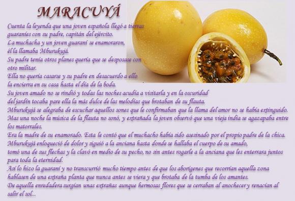 Abrimos de Miércoles a Domingo de 10:00 a 20:00 horas