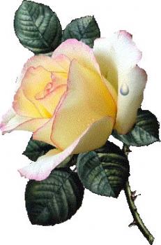 Algunas citas y poemas...