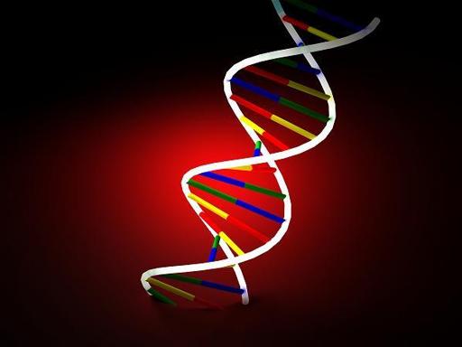 Científicos Argentinos descubren que el virus del dengue muta cuando pasa del mosquito al humano