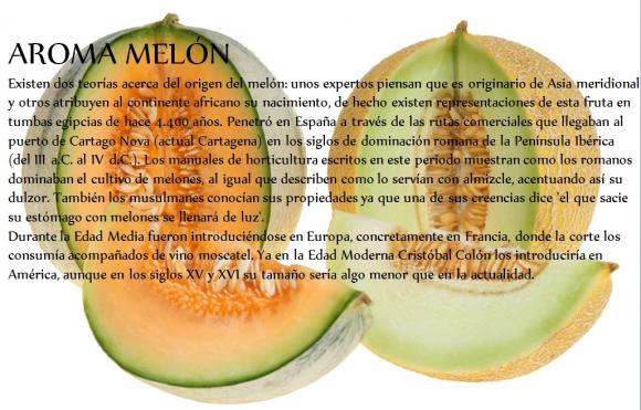 Abrimos de Miércoles a Domingo de 10:00 a 20:00 horas