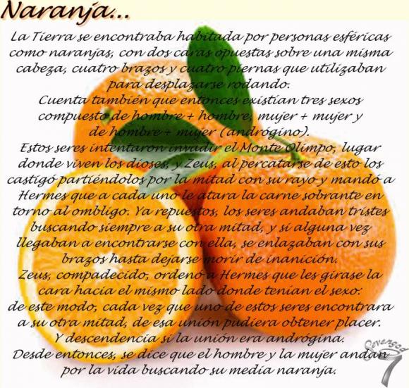 Abrimos de Miércoles a Domingo de 10:00 a 20:00 horas