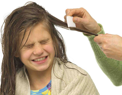 Piojos: advierten sobre el riesgo de infecciones derivadas de la falta de controles.