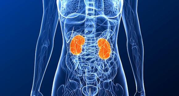 Pacientes renales podrán recibir trasplantes gratuitos 