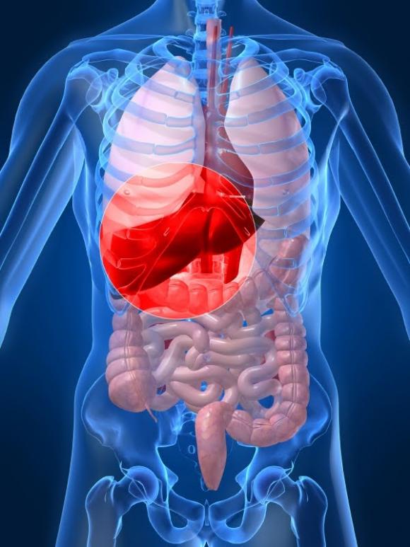 Un fármaco contra el cáncer podría curar la hepatitis B