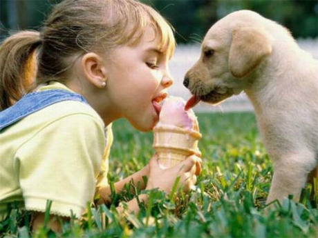 Las mascotas pueden transmitirnos enfermedades