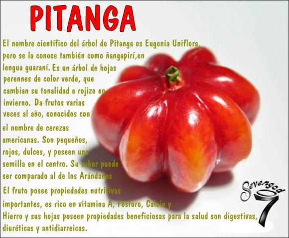 Abrimos de Miércoles a Domingo de 10:00 a 20:00 horas