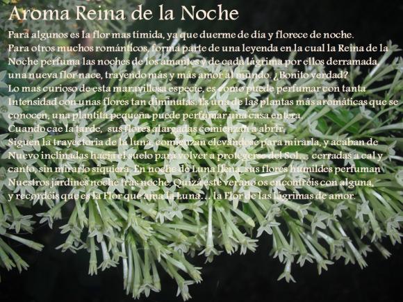 Abrimos de Miércoles a Domingo de 10:00 a 20:00 horas