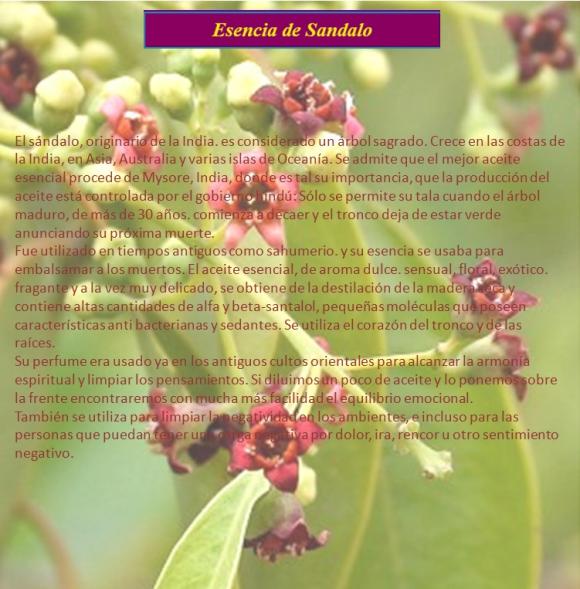 Abrimos de Miércoles a Domingo de 10:00 a 20:00 horas