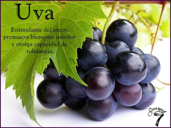 Abrimos de Miércoles a Domingo de 10:00 a 20:00 horas