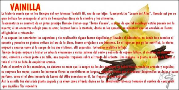 Abrimos de Miércoles a Domingo de 10:00 a 20:00 horas