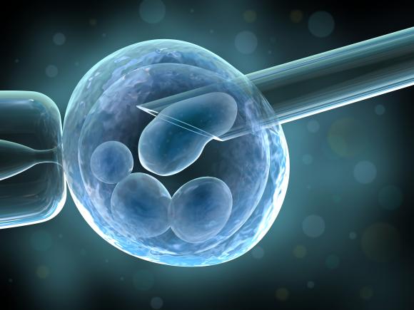 Sin límites de edad para tratamientos de fertilización