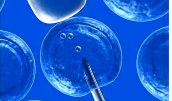 Rige la ampliación de la ley de fertilización asistida