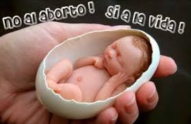 Guía de atención de abortos no punibles actualizada por Ministerio de Salud atenta contra la Ley de Dios  y el primer derecho humano universal