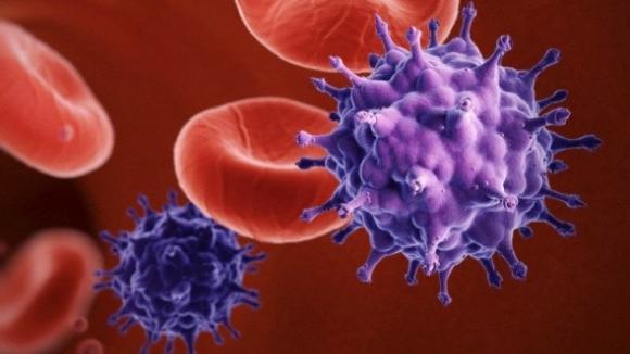 Alertan del peligro de un rebrote de la epidemia del VIH