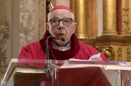 Día del Pontífice en la catedral primada