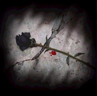 A rosa de hiroshima por vinicius de moraes