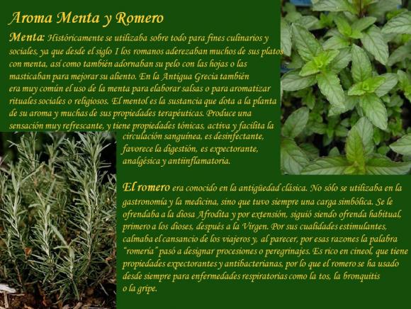 Abrimos de Miércoles a Domingo de 10:00 a 20:00 horas