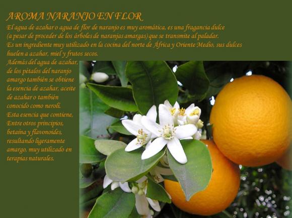 Abrimos todos los días en Vacaciones de Invierno de 10:00 a 20:00 horas