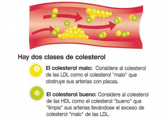 Alirocumab: Nueva esperanza contra el colesterol