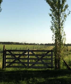 Escapada: Día de Campo en Exaltacion de la Cruz