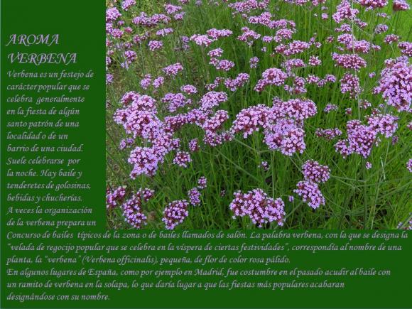 Abrimos de Miércoles a Domingo de 10:00 a 20:00 horas