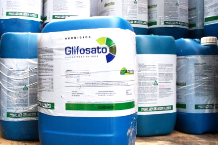 Catalogan al glifosato como probable cancerígeno