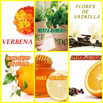 Abrimos de Miércoles a Domingo de 10:00 a 20:00 horas