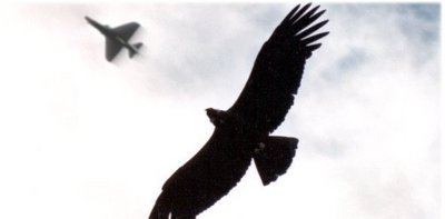 HOY Día de la Fuerza Aérea Argentina