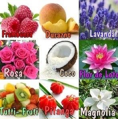 Abrimos de Miércoles a Domingo de 10:00 a 20:00 horas