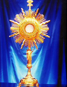 Al Dr. Bartolomé Mitre, ante gravísima ofensa a Jesús Sacramentado en la revista de ¨La Nación¨