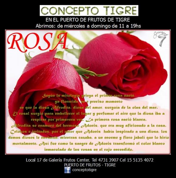 Abrimos de Miércoles a Domingo de 10:00 a 20:00 horas