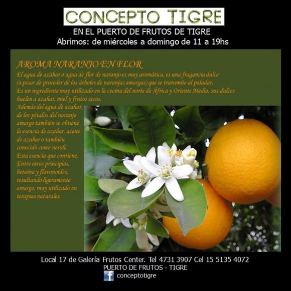 Abrimos de Miércoles a Domingo de 10:00 a 20:00 horas