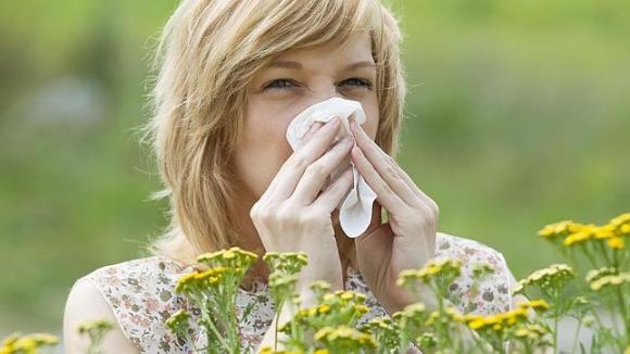 El calentamiento global es un factor que aumenta los cuadros de alergia en primavera
