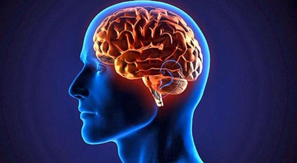¨La clave de la salud está en el cerebro, no en el corazón¨